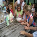 Holundertag   09